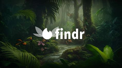 fairy findr download